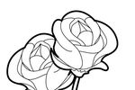 Tranh tô màu 2 bông hồng