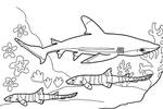 Tranh tô màu Con Cá Mập Dưới Biển