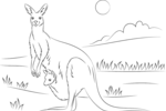 Tranh tô màu chuột túi kangaroo với đứa con