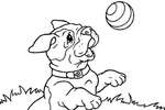 Tranh tô màu chó pug đang chơi với quả bóng