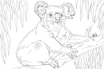 Tranh tô màu con gấu túi ngồi trên cành cây