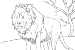 Tranh tô màu con sư tử đực hùng vĩ