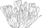 Tranh tô màu giỏ hoa tulip