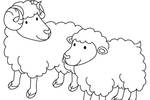 Tranh tô màu 2 Con Cừu Đáng Yêu