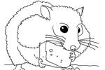 Tranh tô màu Hamster Ăn Bánh