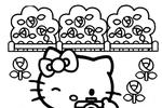 Tranh tô màu Hello Kitty Chụp Ảnh