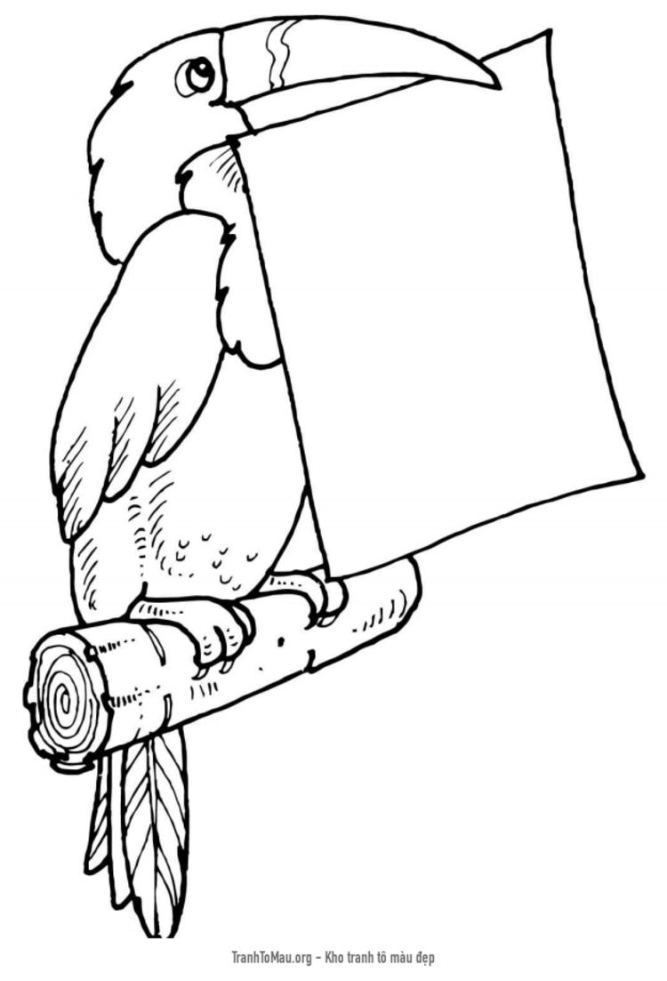 Tải tranh tô màu chim toucan giữ bức thư