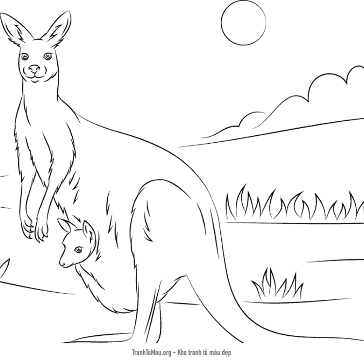 Phim hoạt hình võ sĩ quyền anh kangaroo đầu trang màu