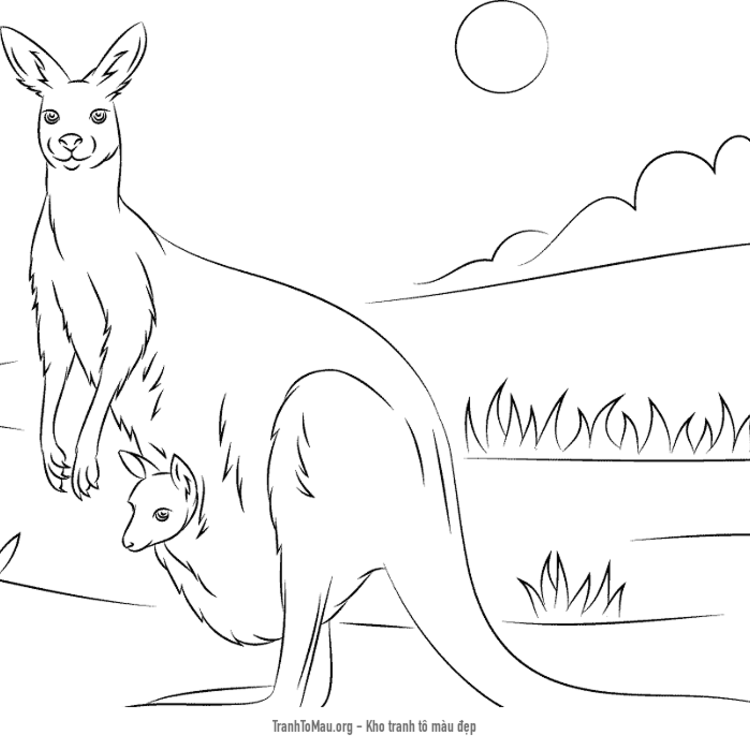 Tải tranh tô màu chuột túi kangaroo với đứa con