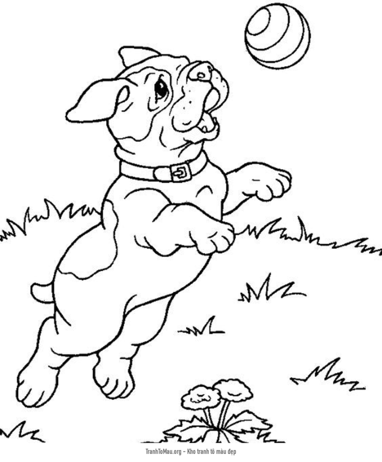 Tải tranh tô màu chó pug đang chơi với quả bóng