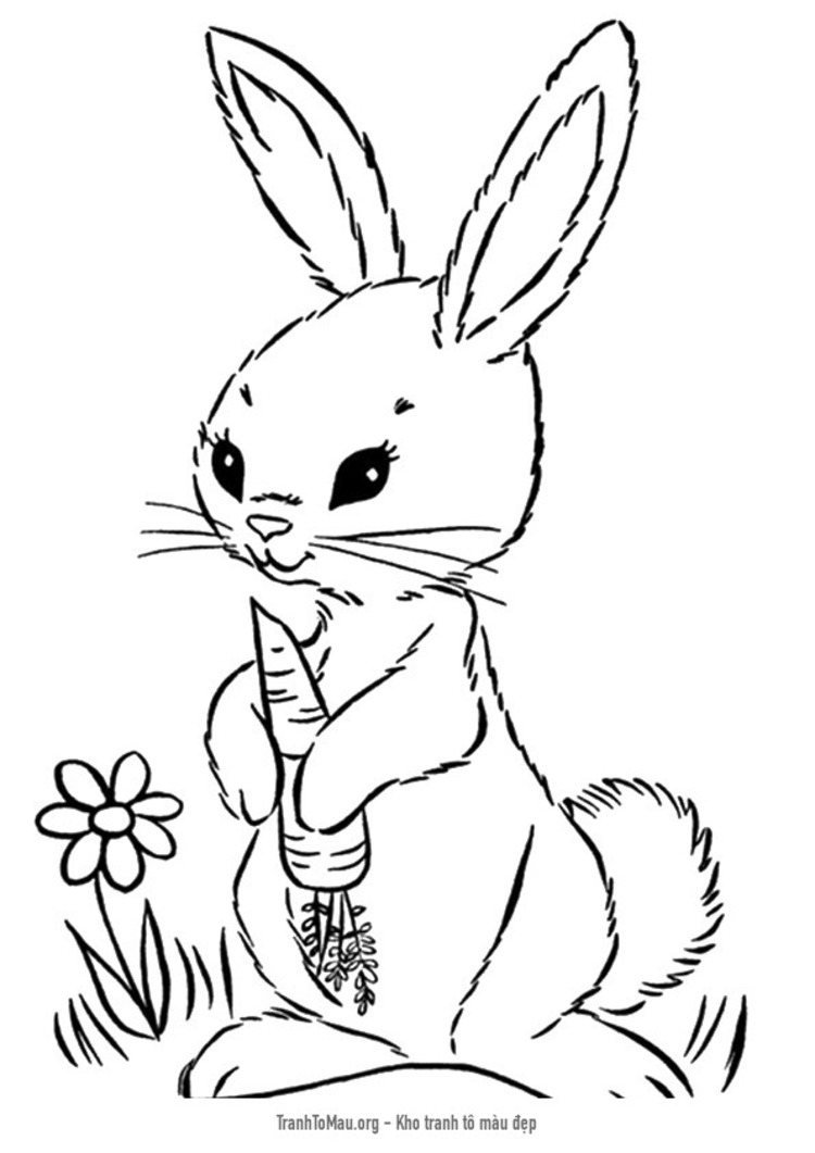 Tải tranh tô màu con thỏ cầm củ cà rốt