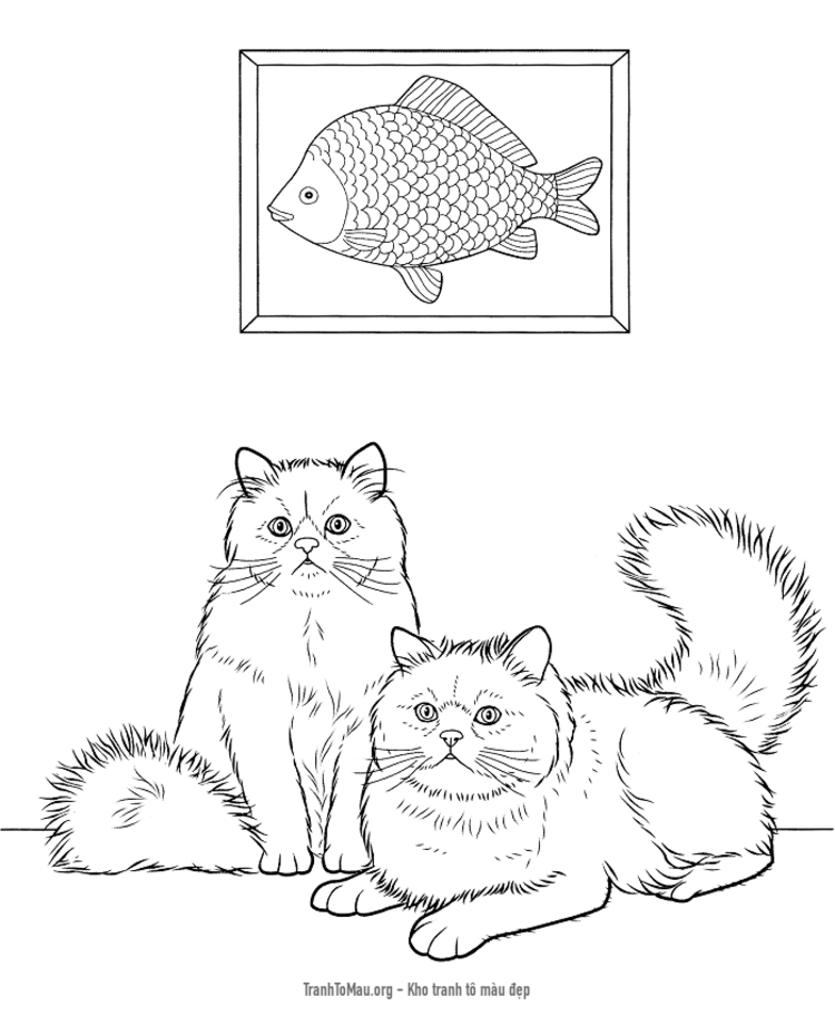 Tải tranh tô màu hai con mèo himalayan