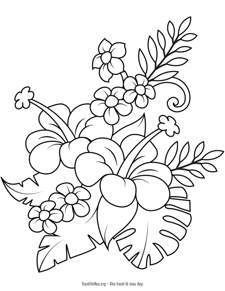 Tải tranh tô màu hoa bụp giấm và lá cây monstera