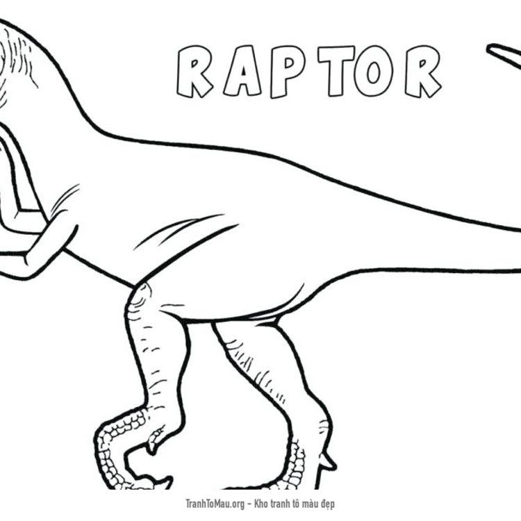 Tải tranh tô màu khủng long velociraptor