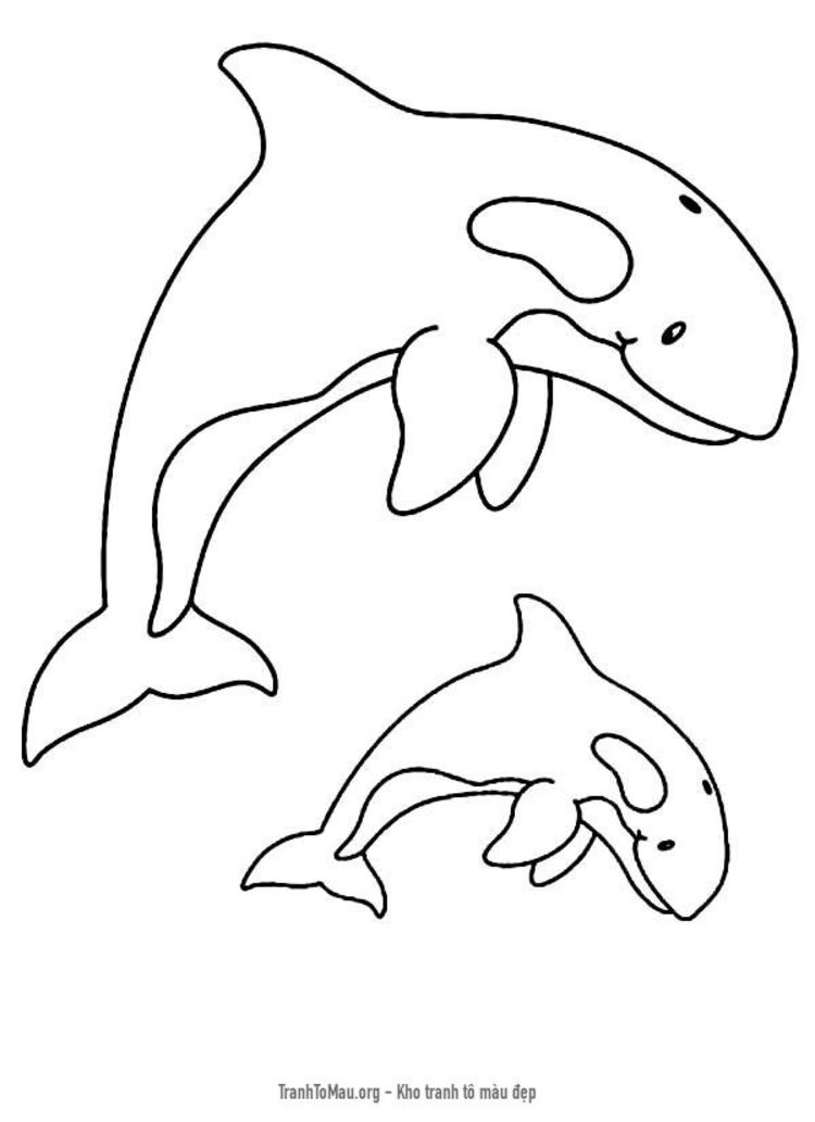 Tải tranh tô màu mẹ con cá voi