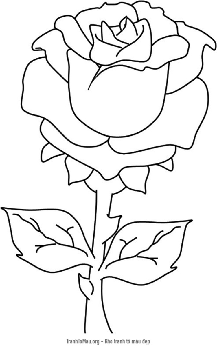 Tải tranh tô màu một bông hoa hồng