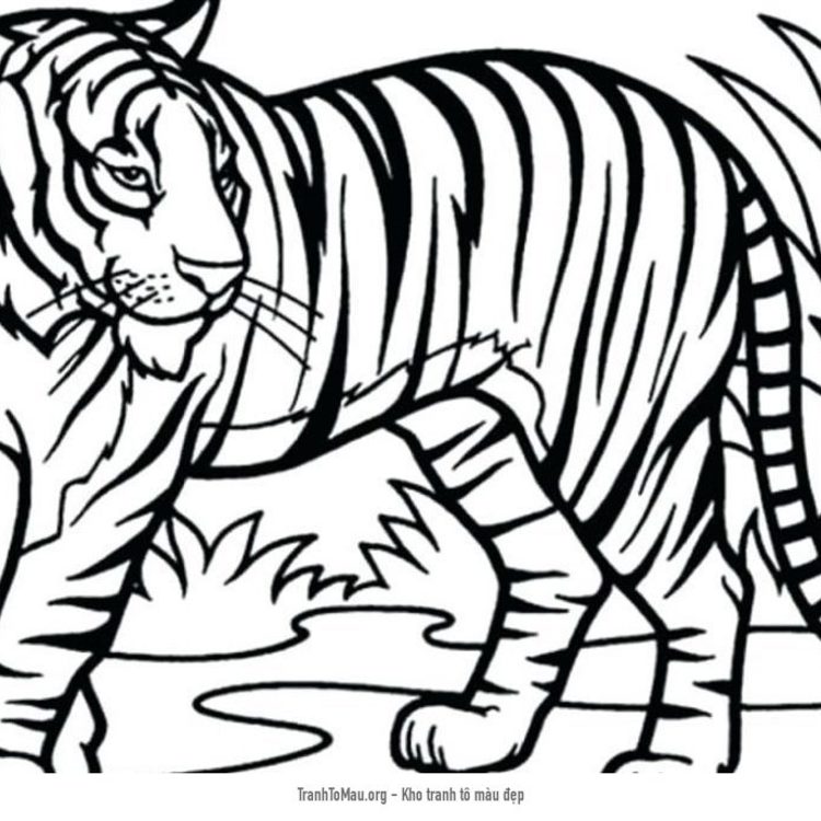 Tải tranh tô màu một con hổ