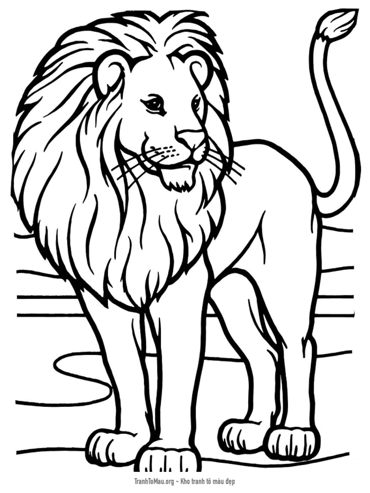 Tải tranh tô màu một con sư tử đực