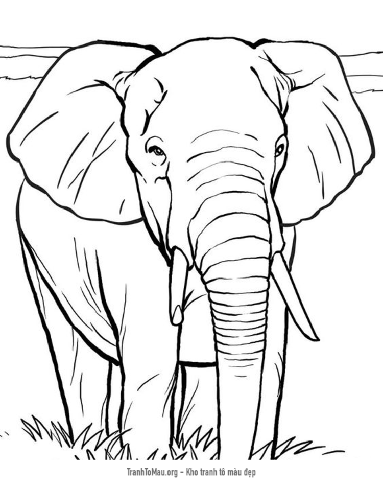 Tải tranh tô màu một con voi