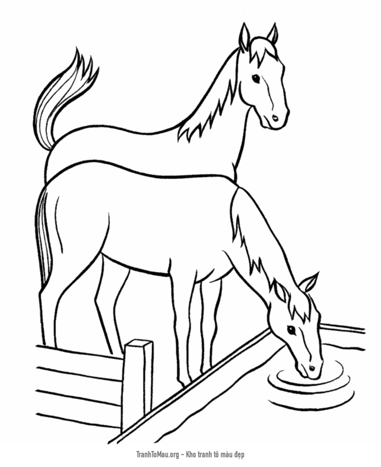 Tải tranh tô màu ngựa uống nước