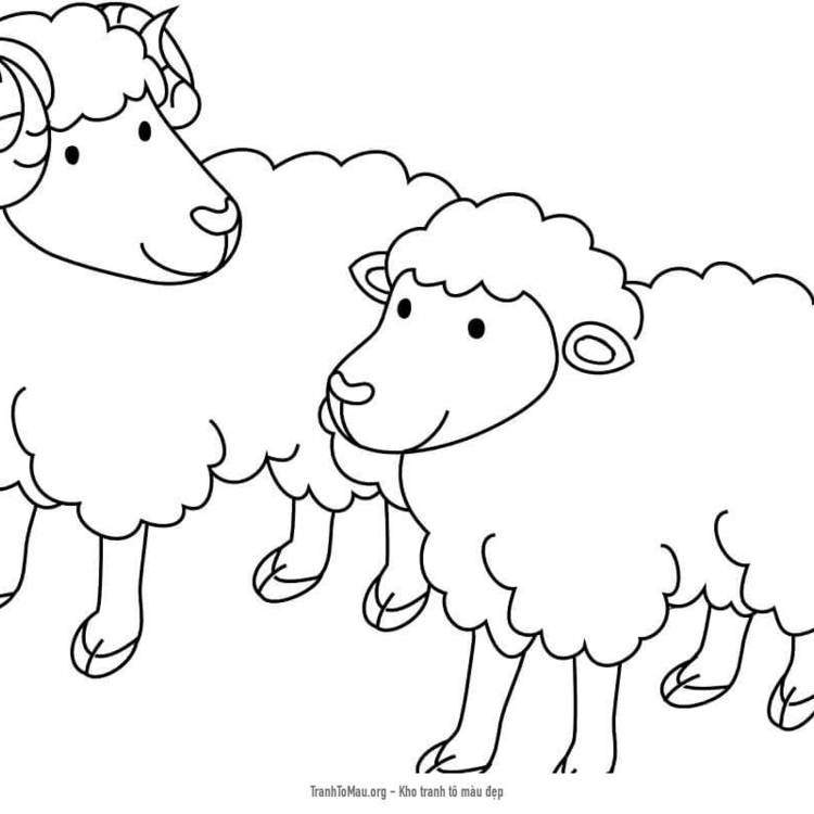 Tải tranh tô màu 2 Con Cừu Đáng Yêu