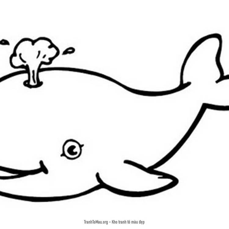Tải tranh tô màu Cá voi Đang Cười