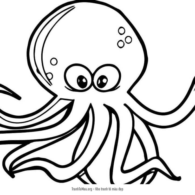 Tìm hiểu với hơn 108 hình vẽ con bạch tuộc hay nhất  Tin Học Vui