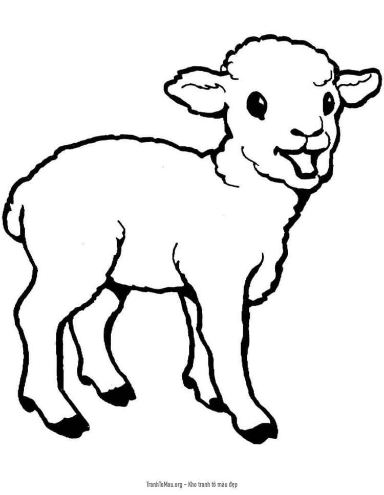 Tải tranh tô màu Con Cừu Con