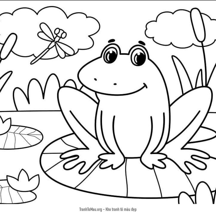 Bộ sưu tập 50 bức tranh tô màu con ếch dành cho bé  Trường Trung Cấp Nghề  Thương Mại Du Lịch Thanh Hoá