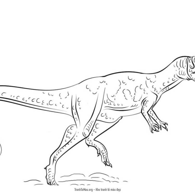 Tải tranh tô màu Con Khủng Long Allosaurus