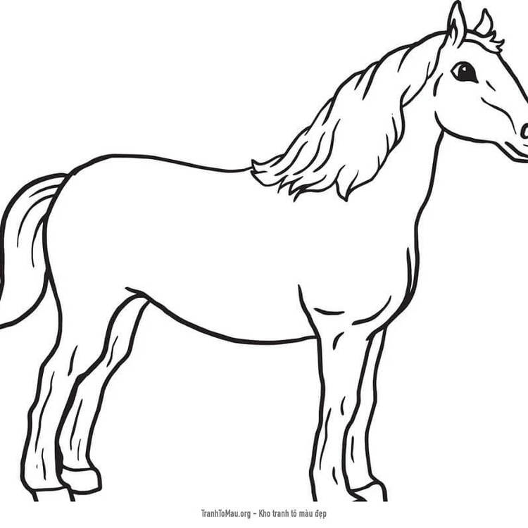Tải tranh tô màu Con Ngựa Đang Đứng