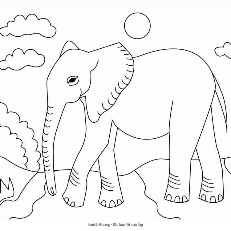 Tổng hợp các bức tranh tô màu con voi được nhiều bé yêu thích