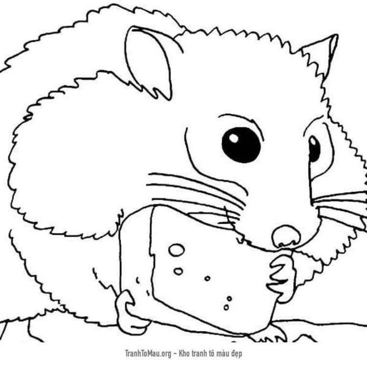 Tải tranh tô màu Hamster Ăn Bánh