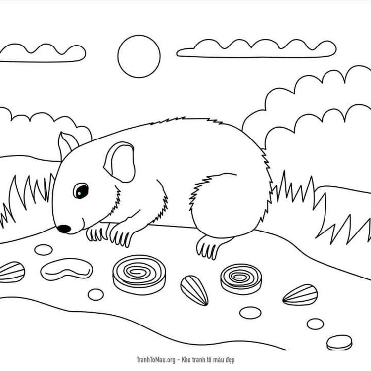 Tải tranh tô màu Hamster Kiếm Ăn