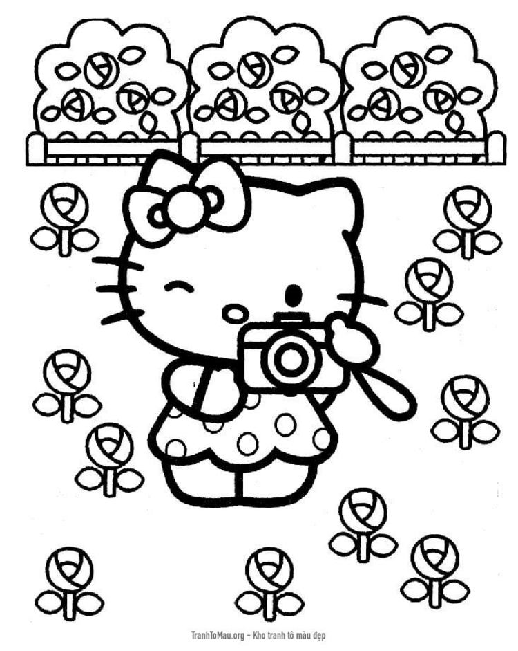 Tải tranh tô màu Hello Kitty Chụp Ảnh