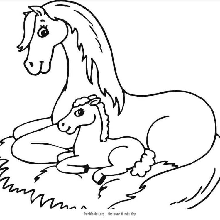 40 Bức tranh tô màu con ngựa cho bé nhỏ tuổi - Hương.Vn