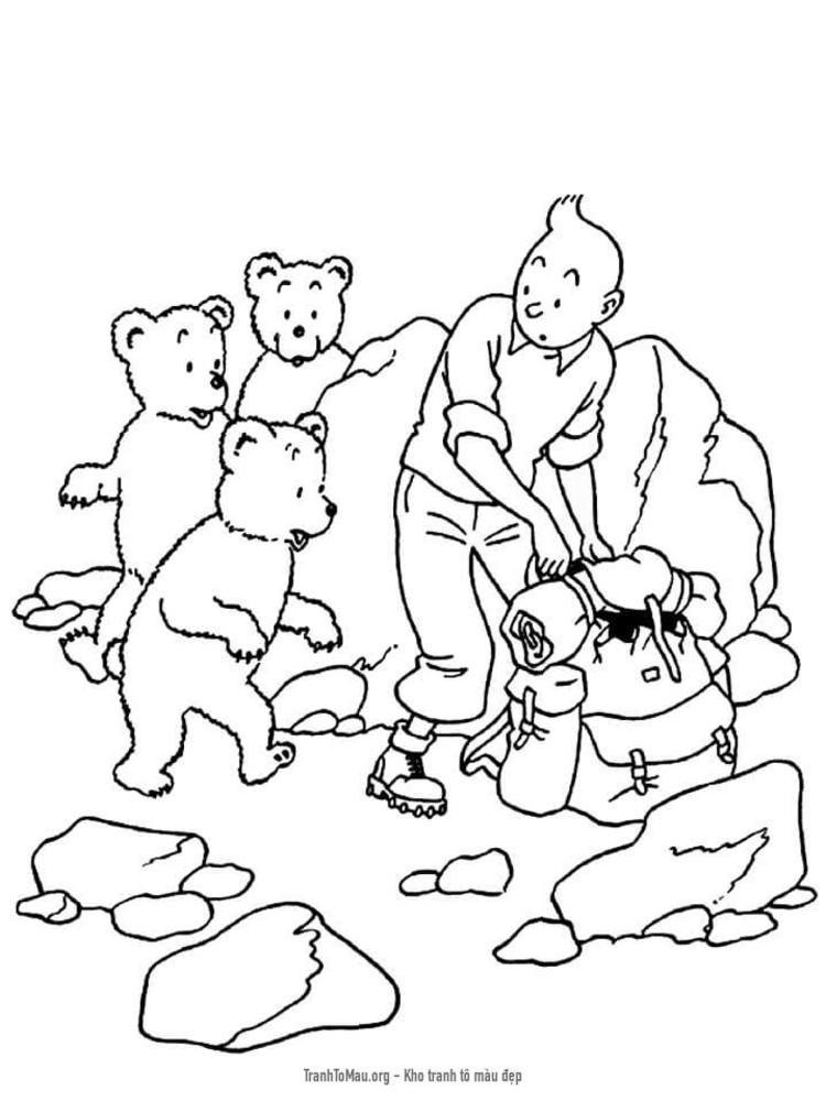 Tải tranh tô màu Tintin và Những Con Gấu